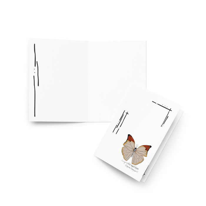 Orange-tipped Angled Sulphur greeting card set