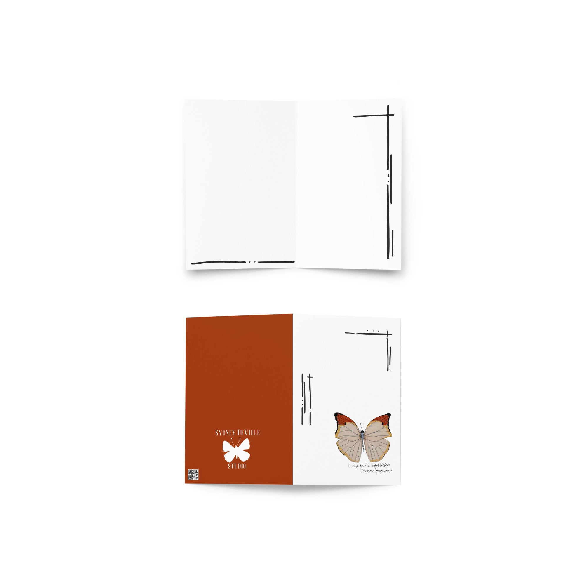 Mariposas del Perú greeting card set — 4x6 front