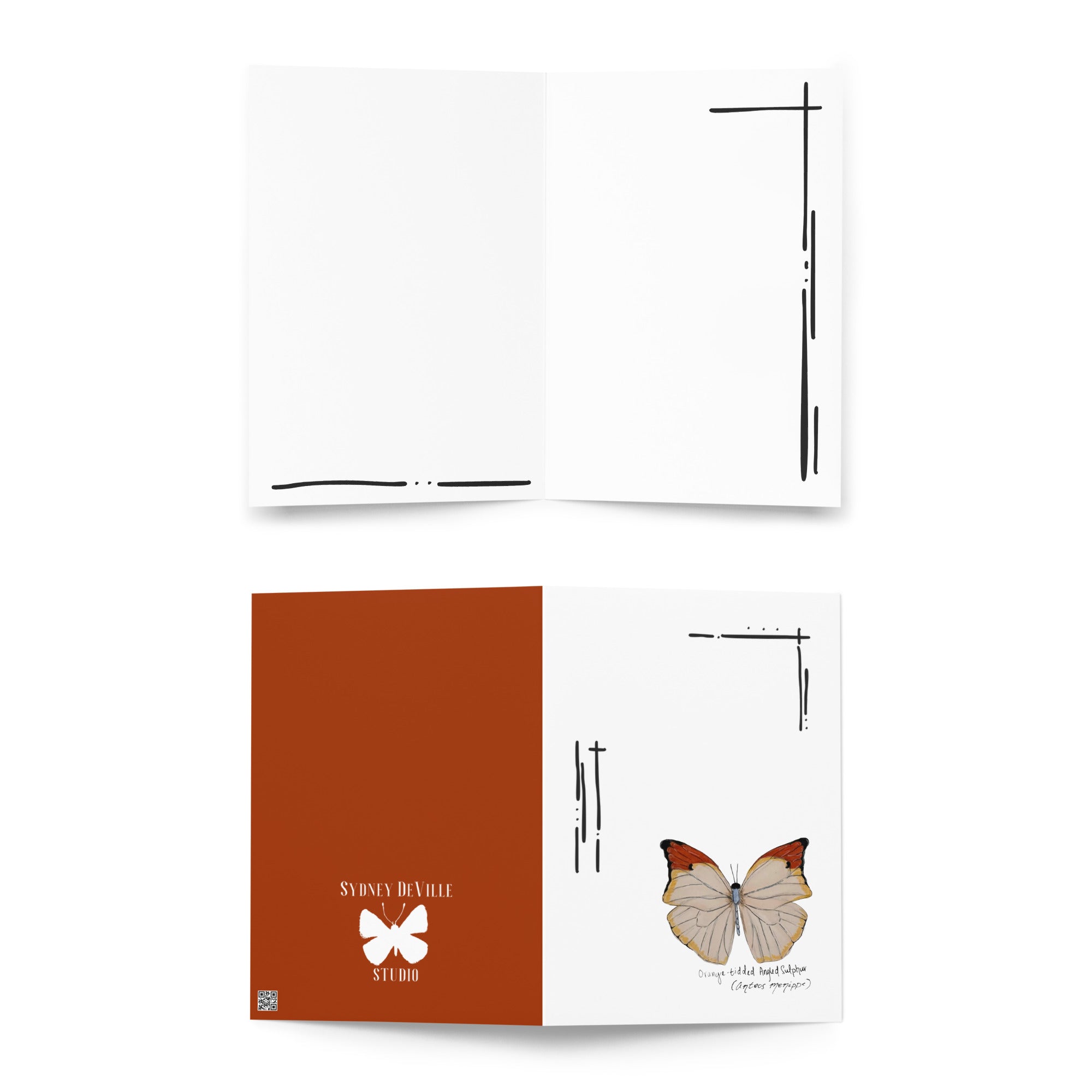 Mariposas del Perú greeting card set — large size front