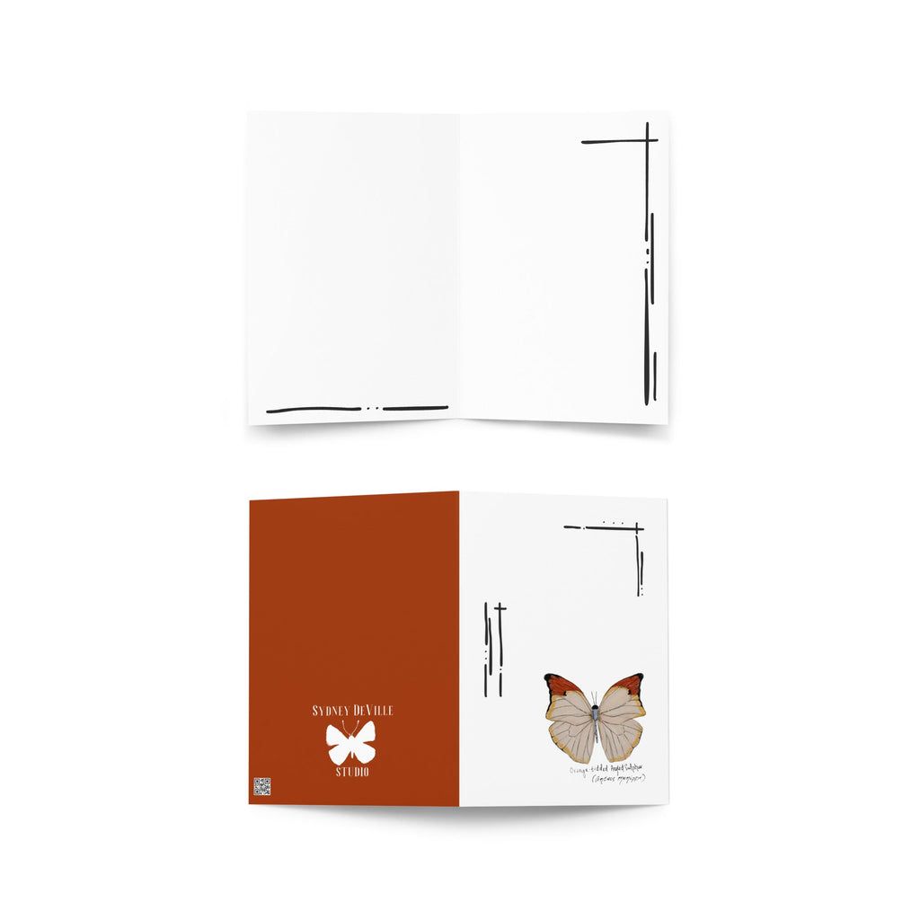 Mariposas del Perú greeting card set of 8 your choice — 5x7