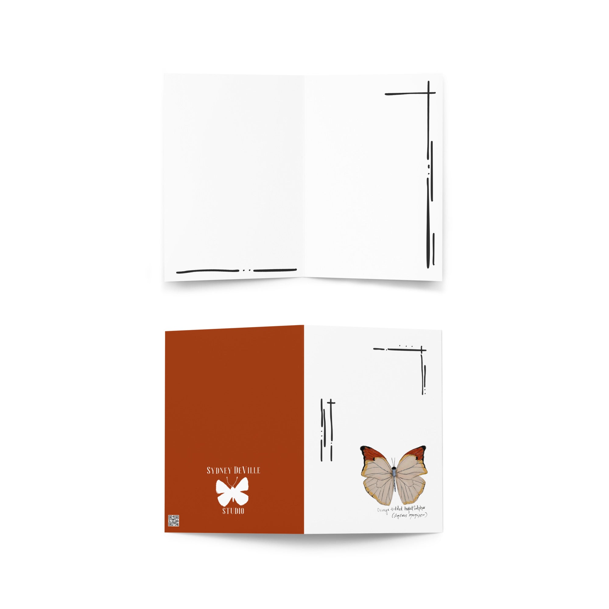 Mariposas del Perú greeting card set of 8 your choice — 5x7
