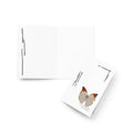 Orange-tipped Angled Sulphur greeting card set